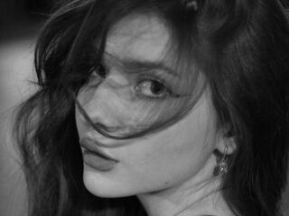 webcamgirl sexchat VelvetMeow